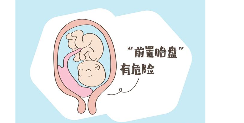 蓉城孕梦启航：2026生命新篇章